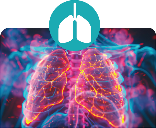 Lung illustration representing pulmonology
